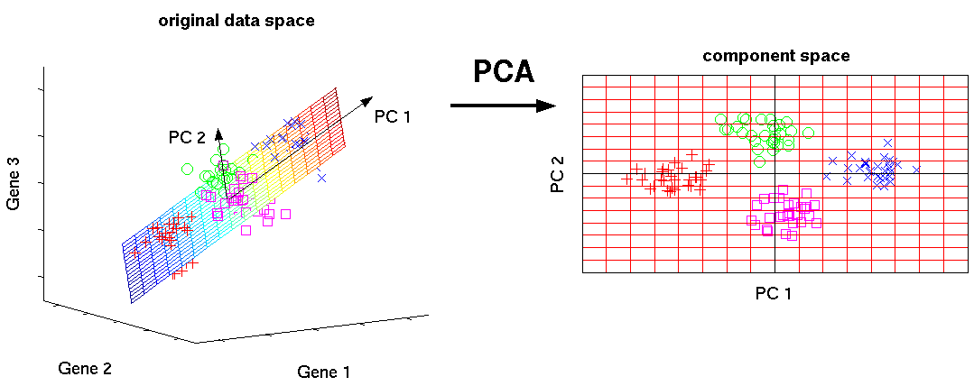 pca example