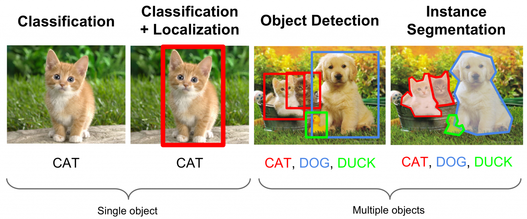 cat detectors