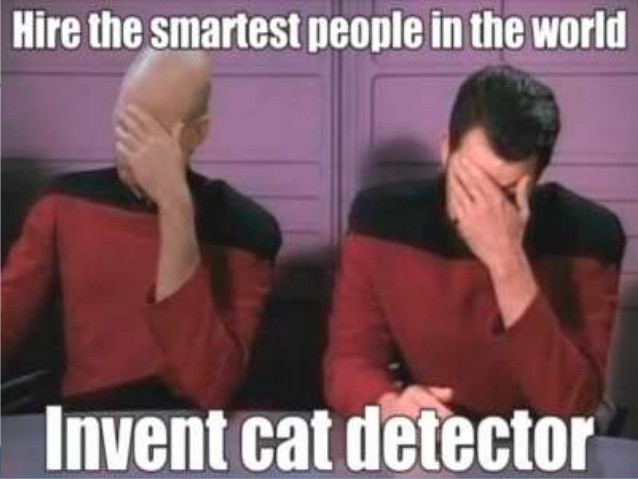 cat detectors rule