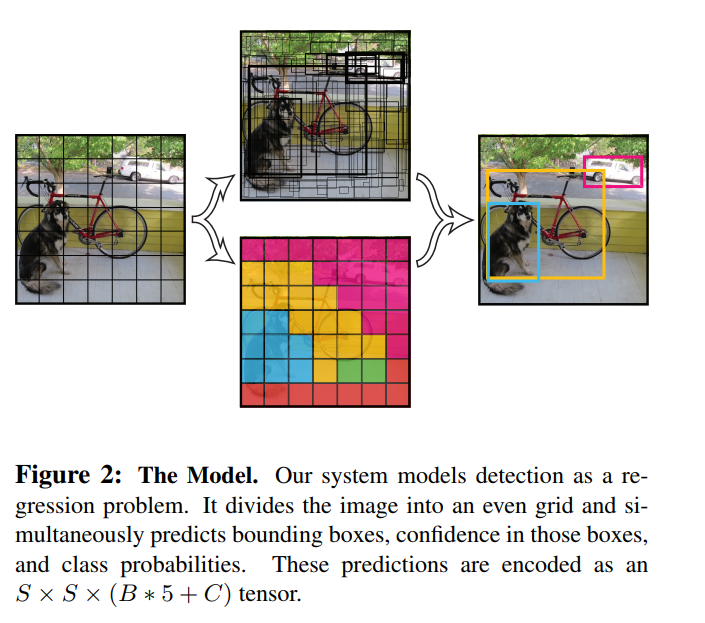 yolo detection